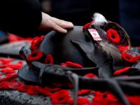 Remembrance Day Etiquette Julie Blais Comeau